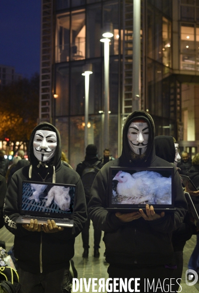 Action cause animale, ANONYMOUS FOR THE VOICELESS, Cube of Truth. International cube day November 3RD 2018 PARIS. Animals rights.