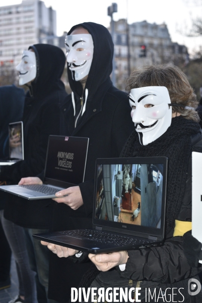 Action cause animale, ANONYMOUS FOR THE VOICELESS, Cube of Truth. International cube day November 3RD 2018 PARIS. Animals rights.
