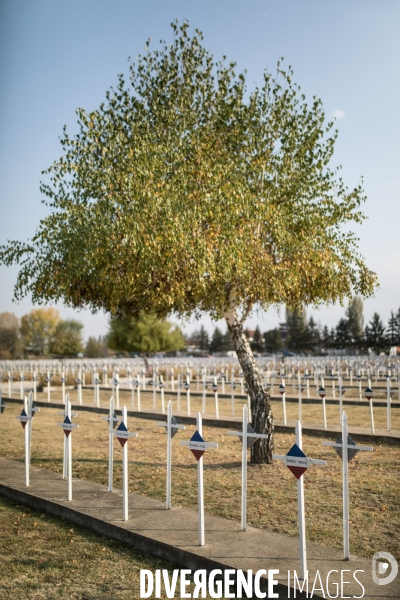 L armée oubliée d orient