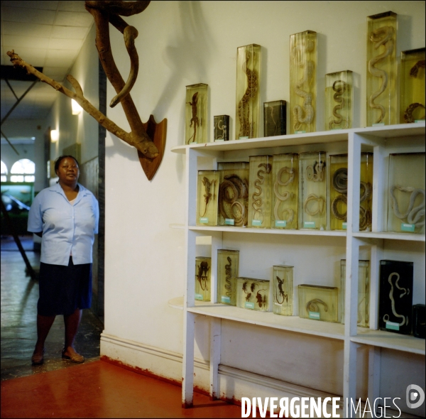 Museum d histoire naturelle de Maputo, Mozambique. Juillet 2009.