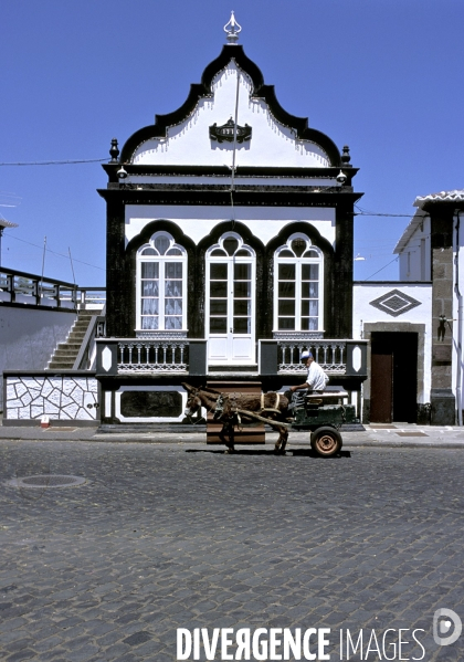 Les Açores, l archipel oublié