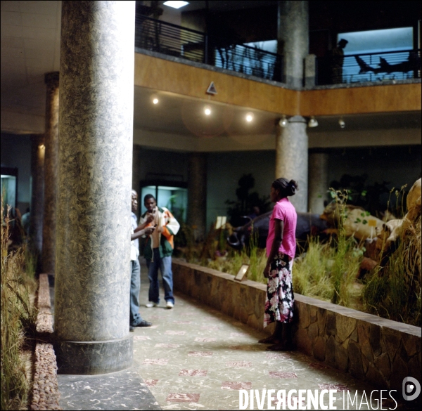 Museum d histoire naturelle de Maputo, Mozambique. Juillet 2009.