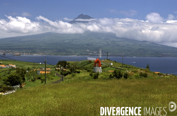 Les Açores, l archipel oublié