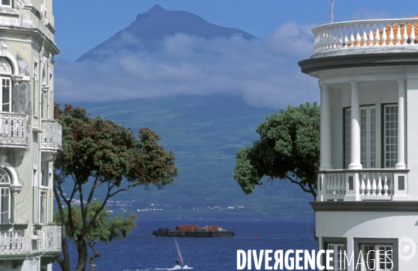 Les Açores, l archipel oublié