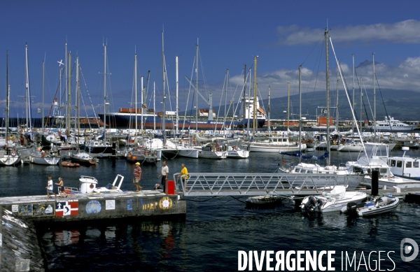 Les Açores, l archipel oublié