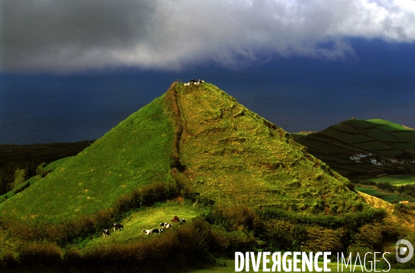 Les Açores, l archipel oublié