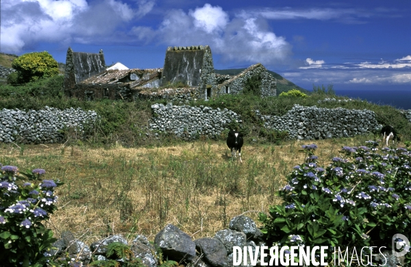 Les Açores, l archipel oublié