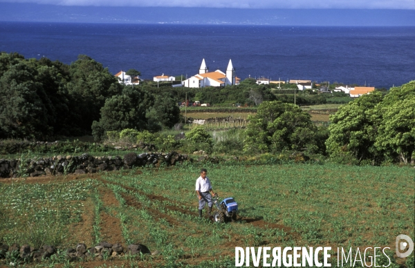 Les Açores, l archipel oublié