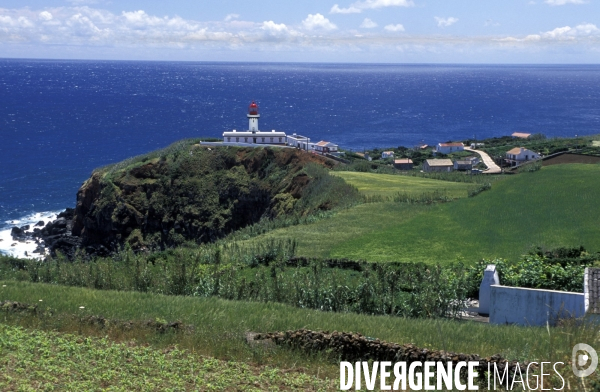 Les Açores, l archipel oublié