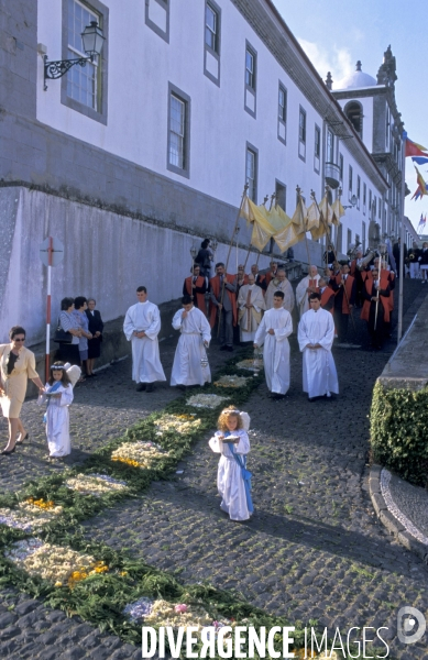 Les Açores, l archipel oublié