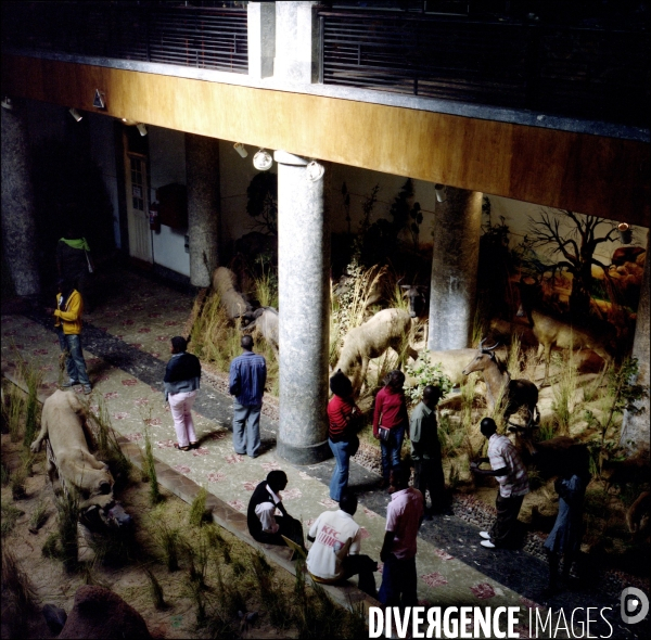 Museum d histoire naturelle de Maputo, Mozambique. Juillet 2009.