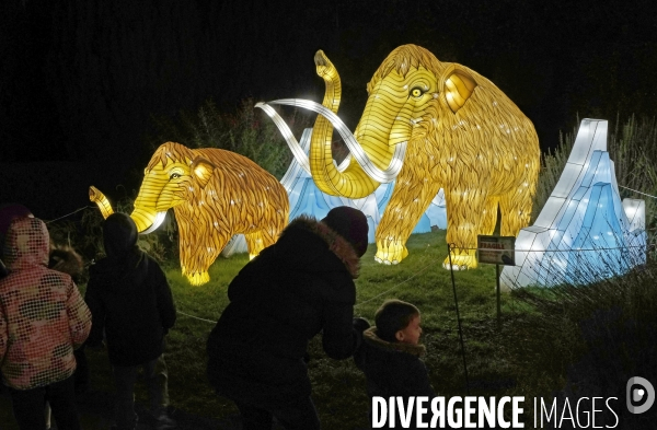 Premier Festival de Lumières au Jardin des Plantes