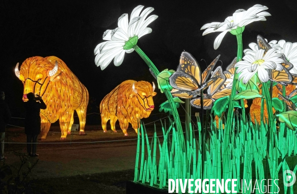 Premier Festival de Lumières au Jardin des Plantes