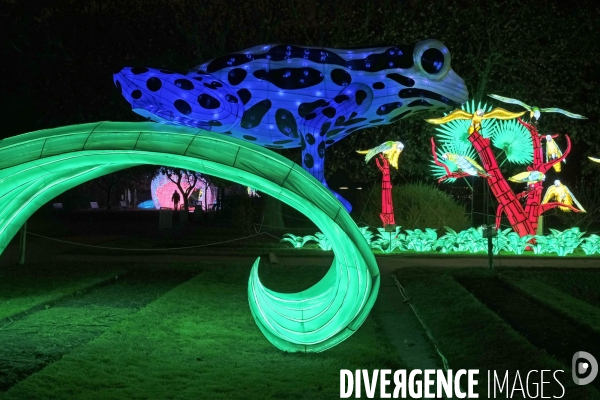 Premier Festival de Lumières au Jardin des Plantes