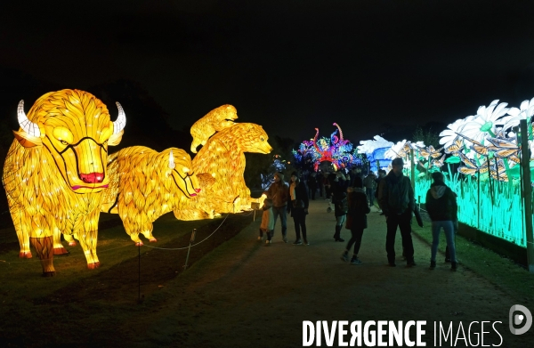 Premier Festival de Lumières au Jardin des Plantes