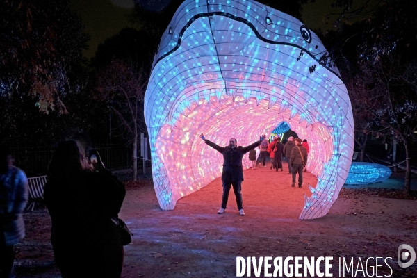 Premier Festival de Lumières au Jardin des Plantes