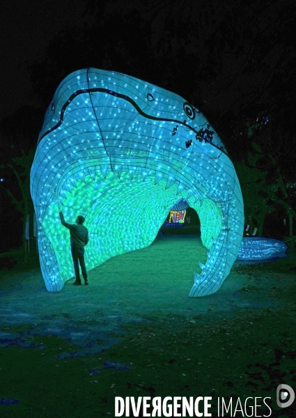 Premier Festival de Lumières au Jardin des Plantes