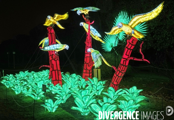 Premier Festival de Lumières au Jardin des Plantes