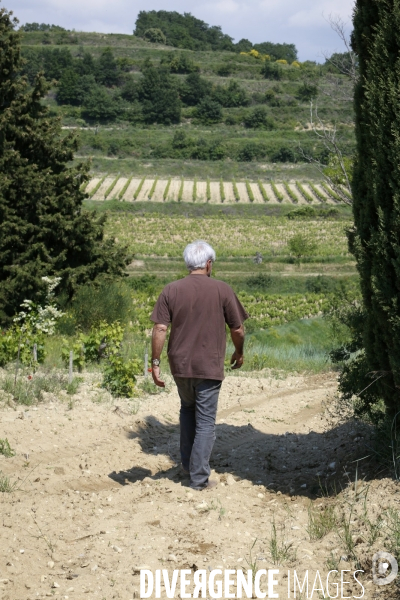 Marcel RICHAUD - Vigneron à Cairanne