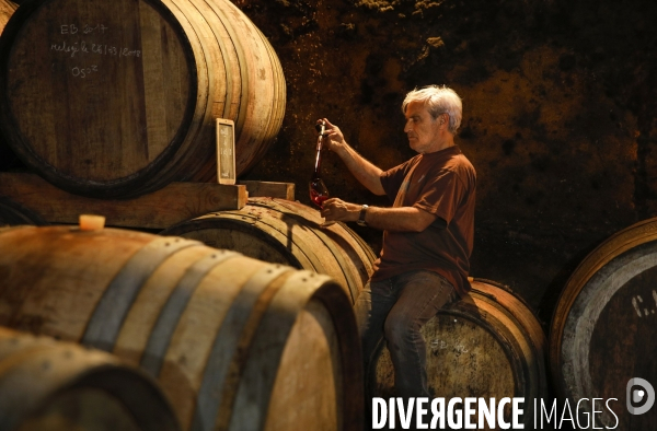 Marcel RICHAUD - Vigneron à Cairanne
