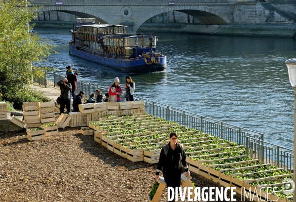 Les berges de Seine en fête