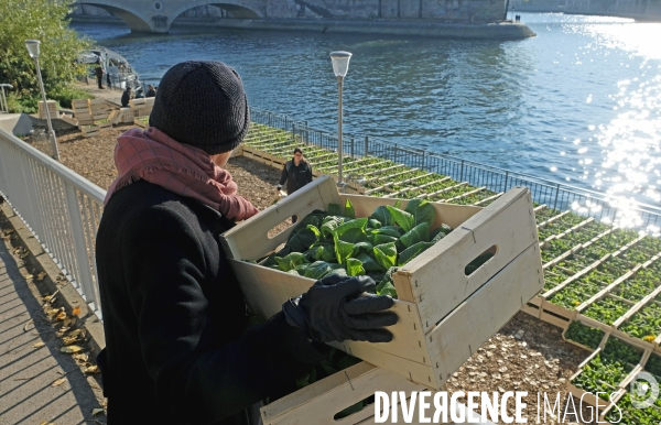 Les berges de Seine en fête