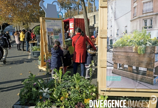 Les berges de Seine en fête