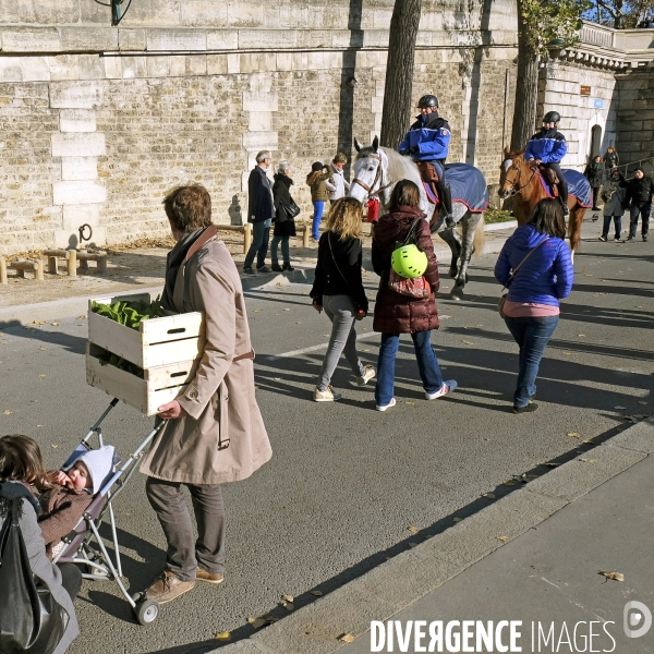 Les berges de Seine en fête