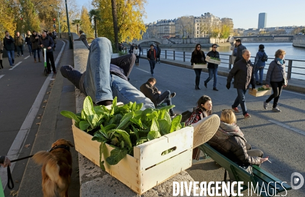 Les berges de Seine en fête