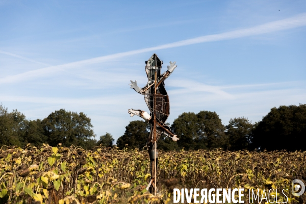 ZAD, où ça ?