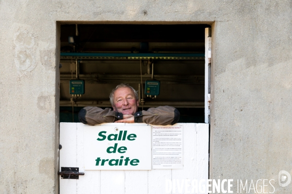 Paysans rebelles contre Lactalis