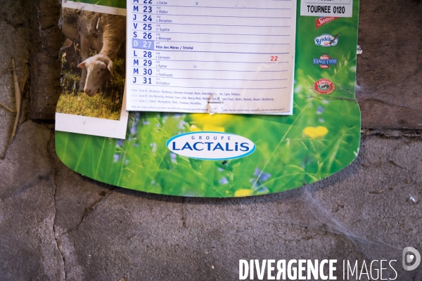 Paysans rebelles contre Lactalis