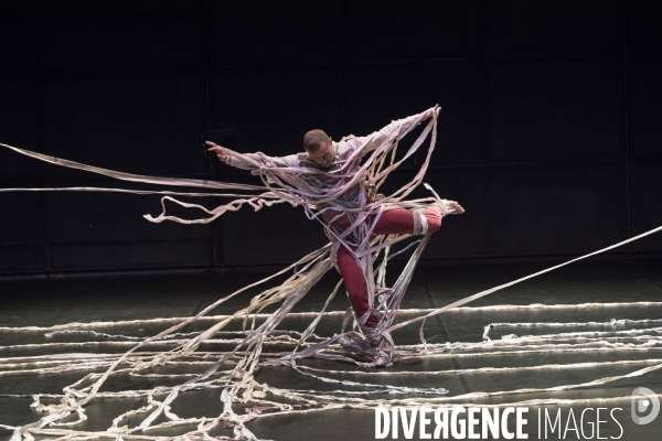 HOW TO PROCEED de Thomas Hauert