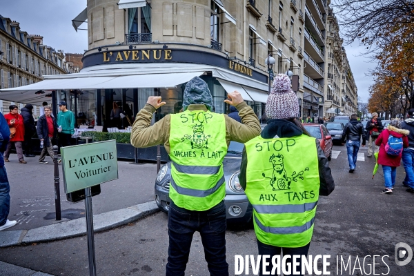 Manifestation Gilets Jaunes sur les Champs Elysees 24 novembre 2018