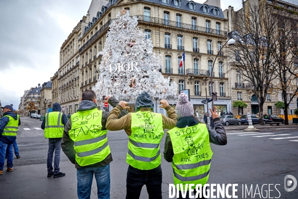 Manifestation Gilets Jaunes sur les Champs Elysees 24 novembre 2018