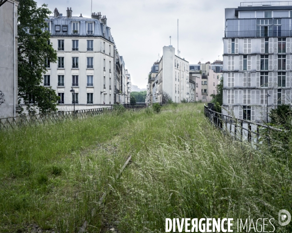 La Petite Ceinture en friche, avenue de Flandre à Paris