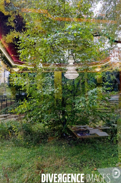 Illustration novembre 2018