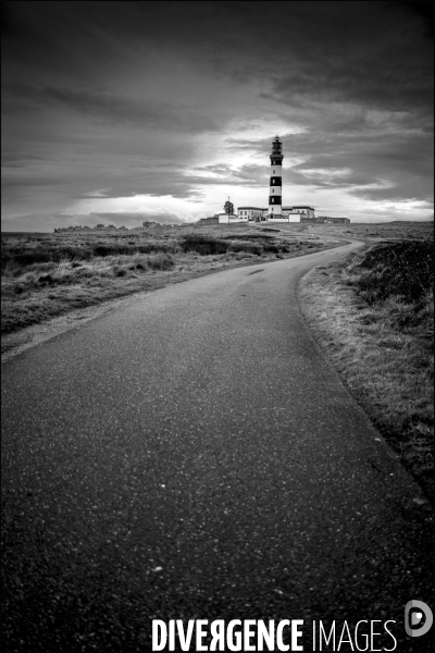 Ouessant blanche et noire