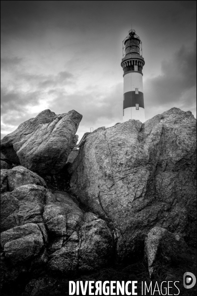 Ouessant blanche et noire