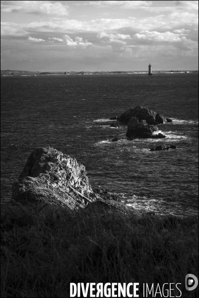 Ouessant blanche et noire