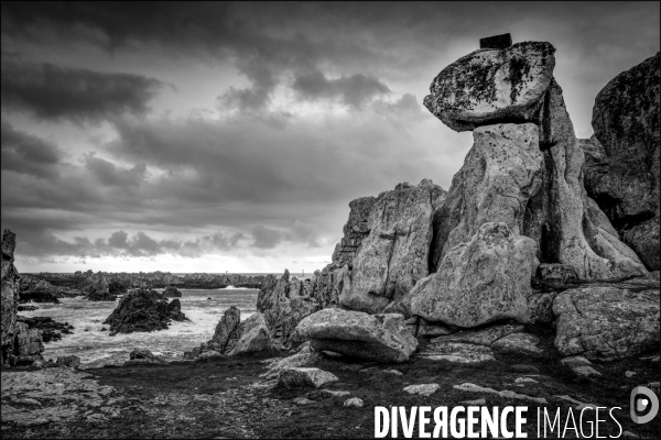 Ouessant blanche et noire