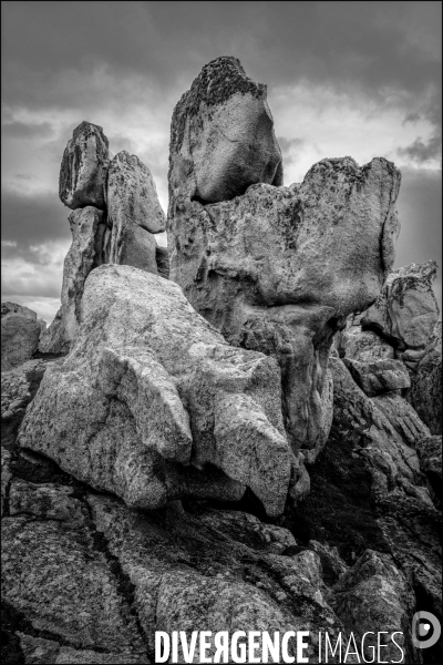 Ouessant blanche et noire