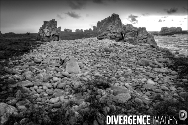 Ouessant blanche et noire