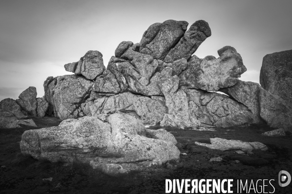 Ouessant blanche et noire