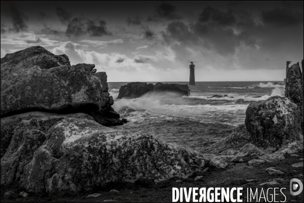 Ouessant blanche et noire