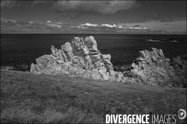 Ouessant blanche et noire