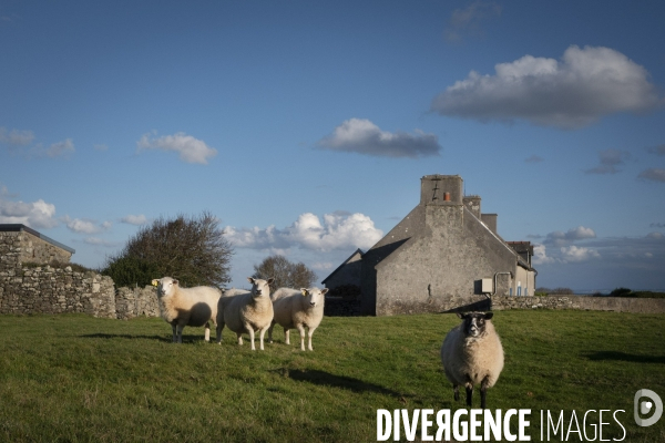 Ouessant en général..