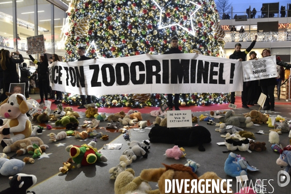 Action cause animale du collectif Boucherie abolition, BALANCE TON ZOOCRIMINEL. Animals rights.