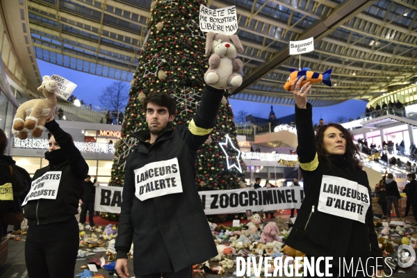 Action cause animale du collectif Boucherie abolition, BALANCE TON ZOOCRIMINEL. Animals rights.