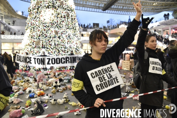 Action cause animale du collectif Boucherie abolition, BALANCE TON ZOOCRIMINEL. Animals rights.